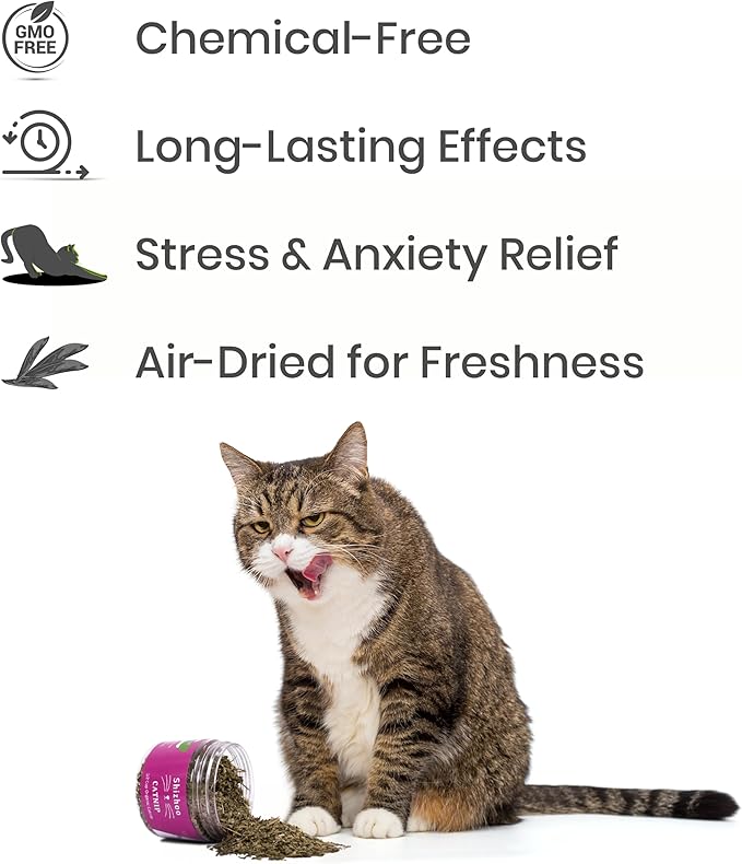 Catnip for Cats with Leaves and Flowers 100% Natural and Organic Catnip Premium Cat Nip for Cats & Kittens Used as a Snack or Refillable Catnip Treats for Cats (1/2 Cup, 2 Ounces)