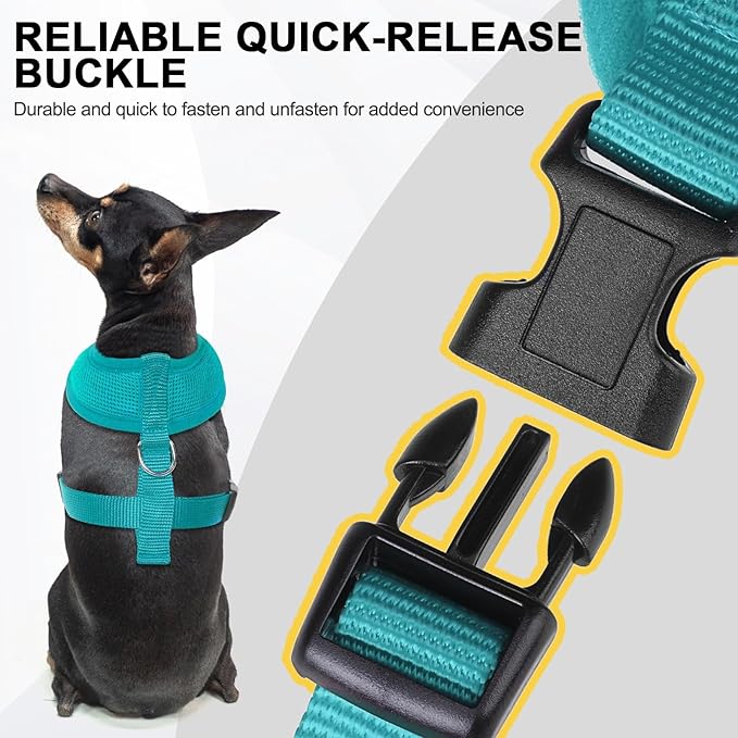 BINGPET No Pull Dog Harness,All Weather Mesh Step-in Vest Harness for Small Dogs,Breathable Mesh Puppy & Cat Harness
