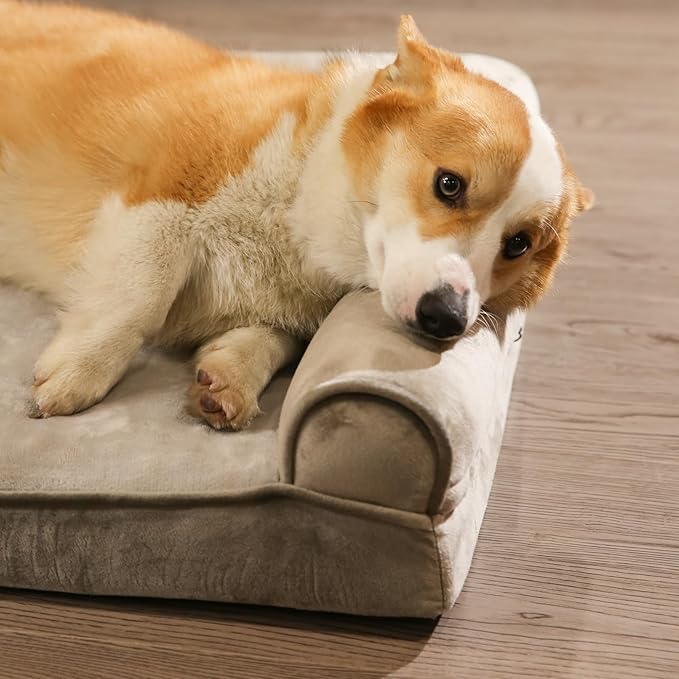 Amazon Basics Dog Bed with Cooling Gel Memory Foam, Pressure-Relief Support for Dogs up to 55lbs, Non-Slip Bottom, Machine Washable Cover, Large Sized (36" x 27"), Brown