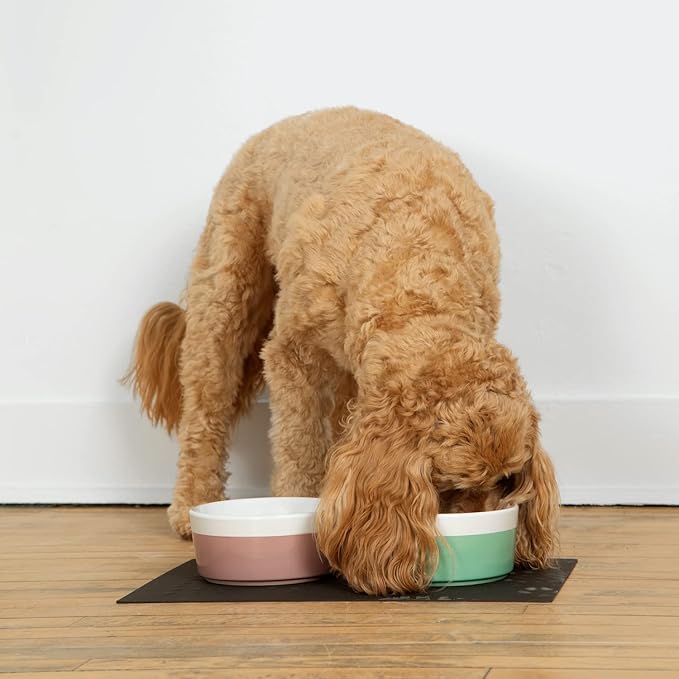 Waggo Dipper Ceramic Dog Bowl for Small and Large Breeds - Heavyweight and Durable Pet Food and Water Dish Crock, Dishwasher Safe, Modern (Mint, Large)