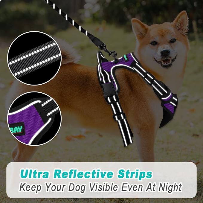 BARKBAY No Pull Dog Harness Large Step in Reflective Dog Harness with Front Clip and Easy Control Handle for Walking Training Running(Purple,XL)