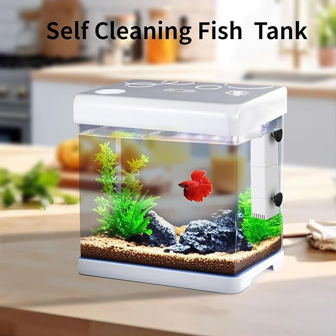5 Gallon Glass Small Fish Tank,Betta Fish Tank with Filter and Light,White Aquarium Starter Kit.