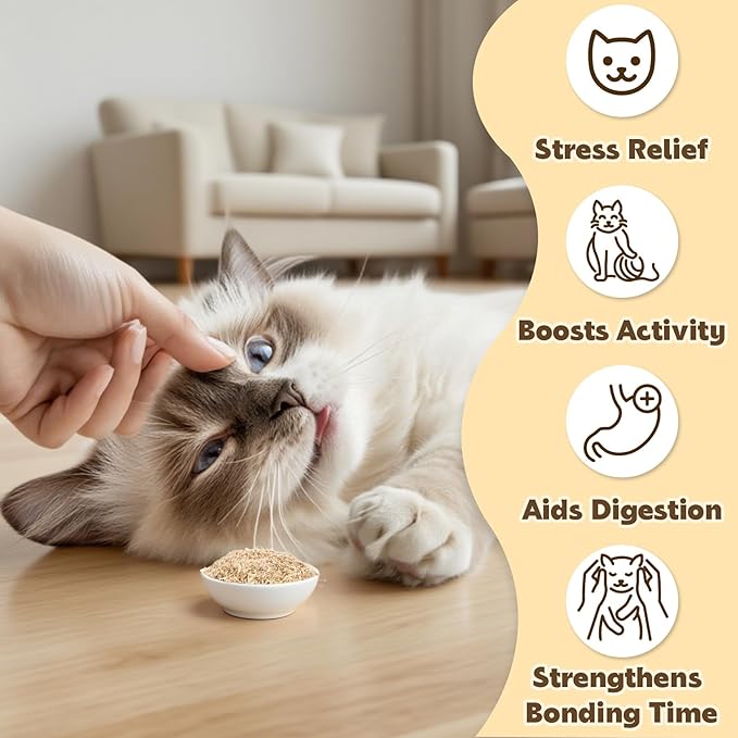 80PCS Catnip - Cat Nip for Cats Natural Dried Catnip Treats Premium Cat Nip Perfect for Toys, Training Rewards, Stress Relief, Freshly Harvested Bag Bulk Pack,2.8OZ