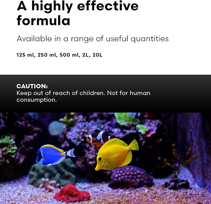 Brightwell Aquatics Rēplenish – Premium Trace & Minor Element Supplement for Marine Aquariums, Supports Healthy Fish, Corals, and Invertebrates, 125 ml