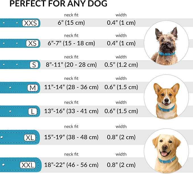 CollarDirect Rolled Leather Dog Collar, Soft Padded Round Puppy Collar, Handmade Genuine Leather Collar Dog Small Large Cat Collars 13 Colors (8-11 Inch, Light Blue Smooth)