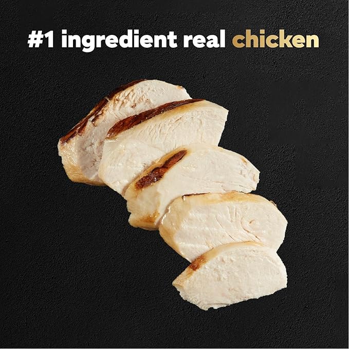 Cesar Filets in Gravy Wet Dog Food Wood-Grilled Chicken Flavor, 1.76 oz. Mini-Pouch (20 Count, Pack of 1)