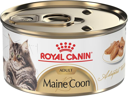 Royal Canin Feline Breed Nutrition Maine Coon Adult Thin Slices in Gravy Canned Cat Food, 3 oz can (24-count)