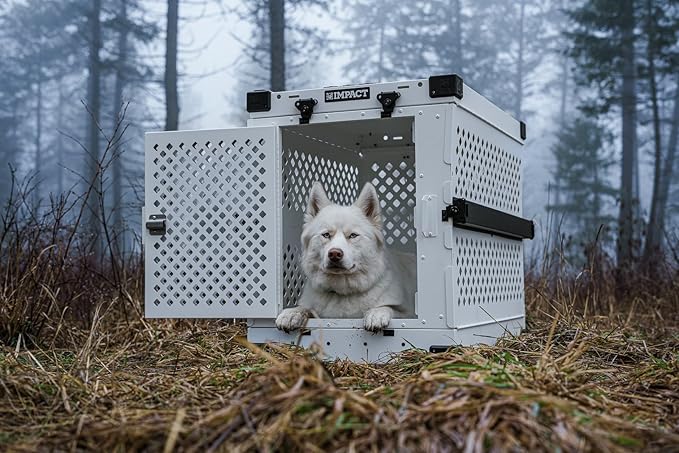 Impact Collapsible Dog Crate - Foldable Hard Crate for Extra Large Dogs - Heavy Duty Travel Kennel with Powder-Coated Aluminum - Quick Setup for Indoor & Outdoor (White, 40"+ (40.5" L x 27.5”W x 34" H
