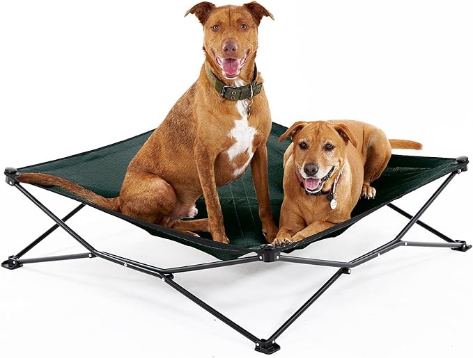 Coolaroo On-The-Go Elevated Dog Bed - Foldable Pop-Up Travel Dog Bed with Breathable, Moisture-Resistant Fabric, Carry Bag Included, Lightweight & Portable, Brunswick Green, Extra Large