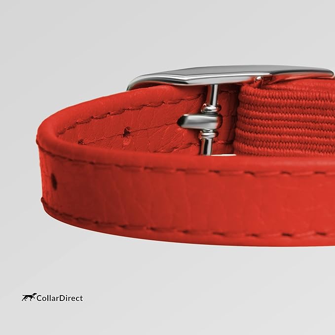 CollarDirect Leather Cat Collar, Cat Safety Collar with Elastic Strap, Kitten Collar with Bell Black Blue Red Orange Lime Green (6-7 Inch, Red)