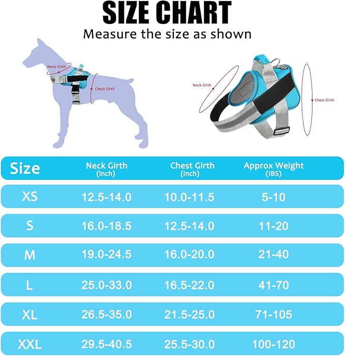 Bolux Dog Harness, No-Pull Reflective Dog Vest, Breathable Adjustable Pet Harness with Handle for Outdoor Walking - No More Pulling, Tugging or Choking (OceanicBlue, X-Small (Pack of 1))