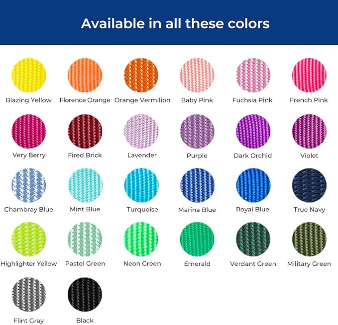 Blueberry Pet Essentials X-Small Dog Collar in Black | Adjustable & Eco-Friendly Durable Nylon Strap | Classic Collar for X-Small Dogs, Boy & Girl Pets