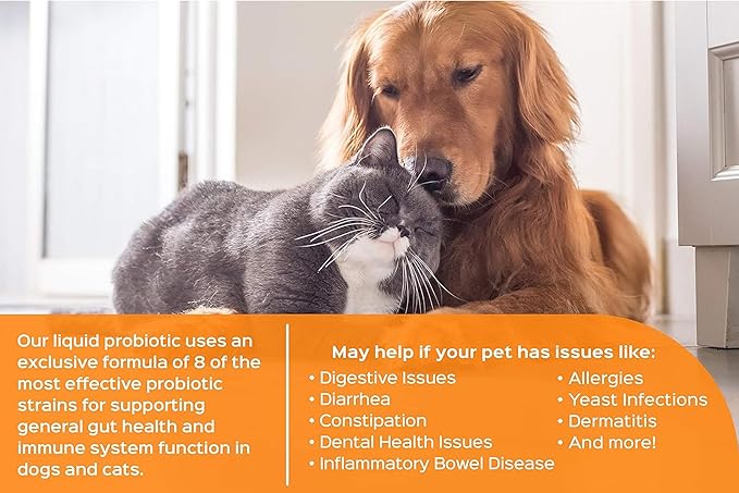 Humarian Probonix Liquid Probiotics for Cats - 8-Strain Cat Probiotic Drops to Fortify Feline Gut Health, Dental Health, Immunity and More - 30-Day Supply - Liver Flavor