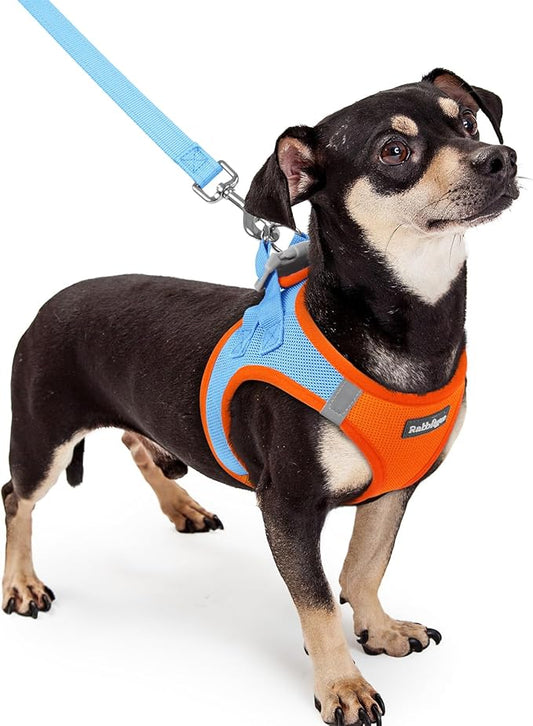 rabbitgoo Dog Harness Small Sized and Leash Set, Step in Soft Light Puppy Vest, Breathable Mesh Pet Harness, Reflective for Safe Easy Walking, Blue & Orange XXXS