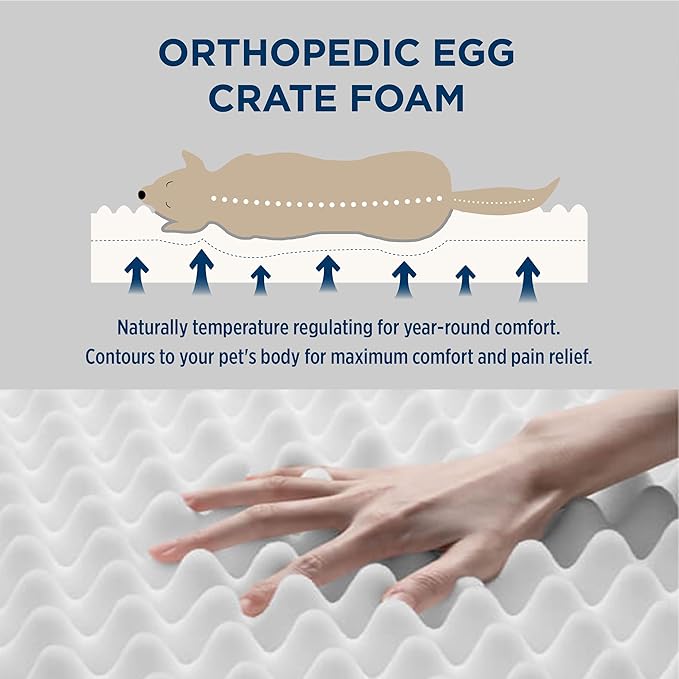 Bedsure XXL Dog Bed for Large Dogs - Orthopedic Flat Giant Pet Beds with Removable Washable Cover, Jumbo Egg Crate Foam Mat, Suitable for Pet Up to 150 lbs