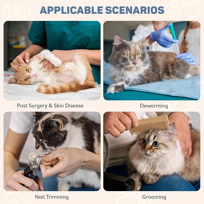 Avont Soft Cat Recovery Cone Collar, Adjustable Lightweight Kitten E-Collar for Small Dogs, Comfortable Neck Donut Stop Licking Scratching After Surgery -Purple(L)