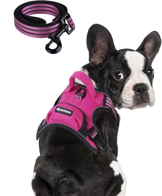 BUMBIN Dog Harness for Large Dogs, No Pull Adjustable No Choke Pet Vest with Dog Leash Fit Smart Reflective Pet Walking Harness for Training Easy Control Soft Handle Rose Red M