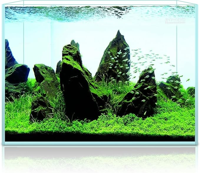3.5 Gallon Rimless Aquarium, Ultra Clear Low Iron Nano Fish Tank for Betta Shrimp, L15×W5.5×H9.8 Glass Thickness 5mm with EVA Foam Leveling Mat