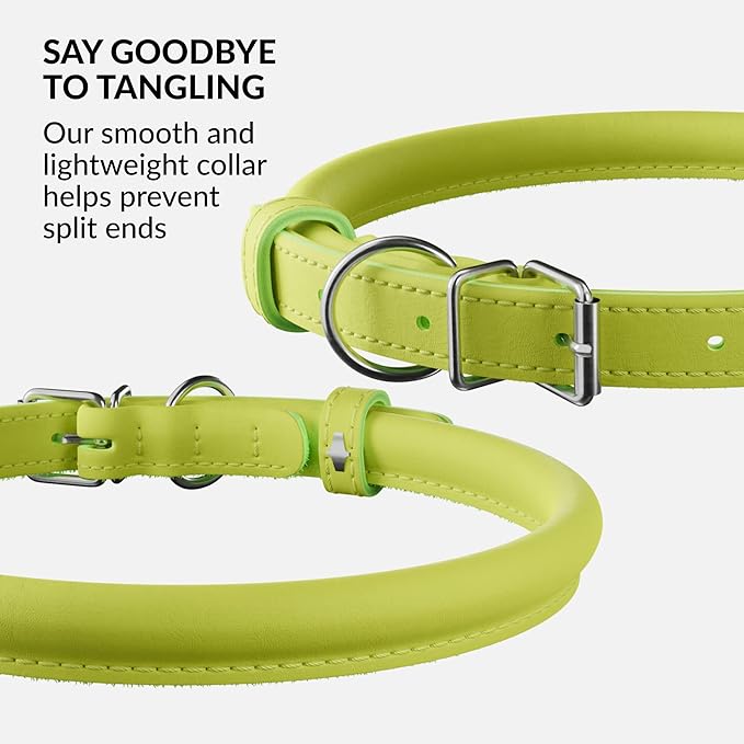 CollarDirect Rolled Leather Dog Collar, Soft Padded Round Puppy Collar, Handmade Genuine Leather Collar Dog Small Large Cat Collars 13 Colors (13-16 Inch, Lime Green Smooth)