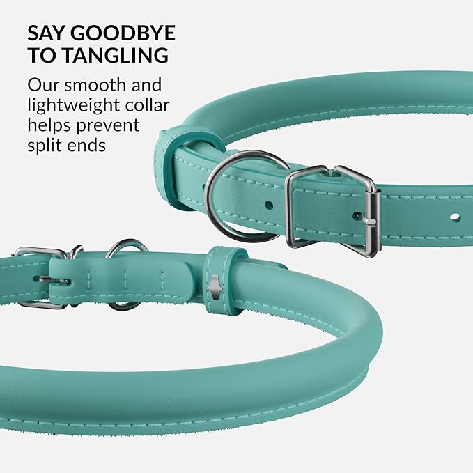 CollarDirect Rolled Leather Dog Collar, Soft Padded Round Puppy Collar, Handmade Genuine Leather Collar Dog Small Large Cat Collars 13 Colors (13-16 Inch, Mint Green Smooth)