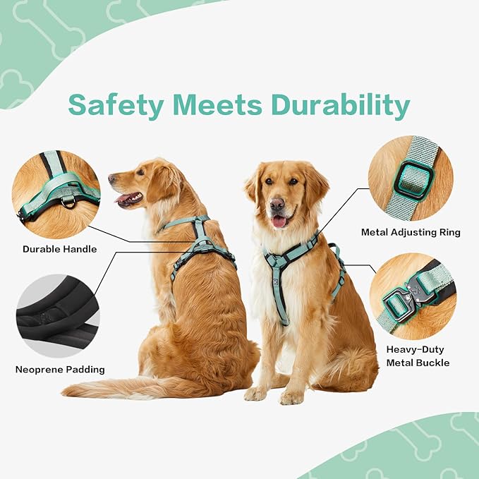 CLEPAWS Dog Harness for Large Dogs, No Pull Dog Harness Easy Walk with Metal Hardware, Ergonomic Y-Shaped Design, Soft Padding, Padded Handle, Durable High-Tensile Nylon (Seabreeze, L)