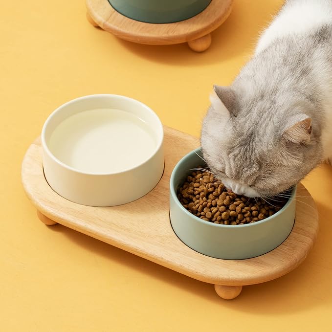 Ceramic Elevated Cat Food and Water Bowl, Kitty Bowl, Raised Cat Dish, Pet Feeder (5.1 in, 2 x Beige + Stand)
