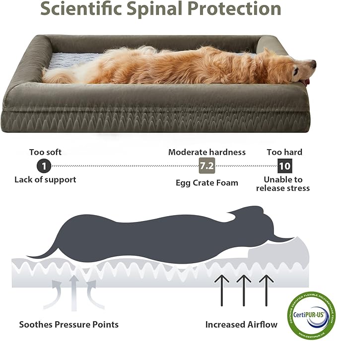 WNPETHOME XL Extra Large Dog Bed, Washable Dog Couch with Removable Waterproof Cover, Orthopedic Large Pet Sofa Bed with Bolster Sides for Sleeping