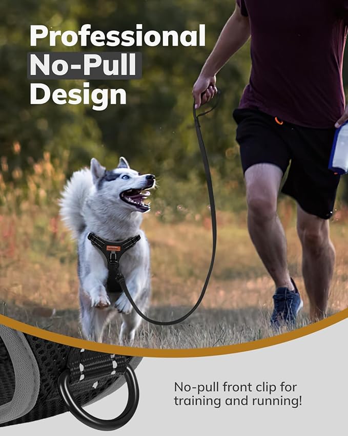 MIDOG No-Pull Dog Harness | Adjustable & Reflective Pet Harness Leash Set for Small Medium Large Dogs Walking, Training| No Choke, Front Clip, Soft Padded Vest with Easy Control Handle - Black, XS