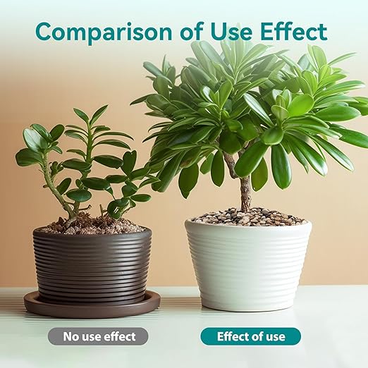 5 lbs Pebbles for Indoor Plants, Vase, Succulent, 3/8" Gravel for Plants, Pots Indoor, Bamboo Rocks for Bamboo Plants, Decorative Small River Rock, Highly Polished