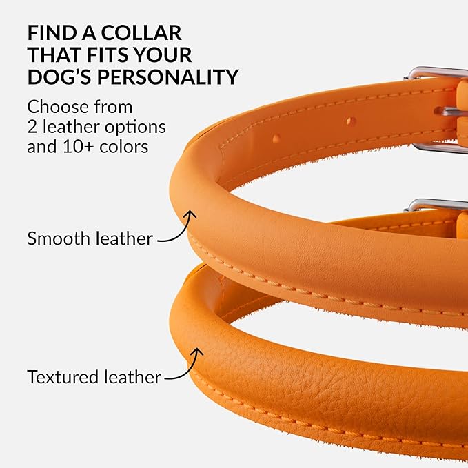 CollarDirect Rolled Leather Dog Collar, Soft Padded Round Puppy Collar, Handmade Genuine Leather Collar Dog Small Large Cat Collars 13 Colors (18-22 Inch, Orange Smooth)