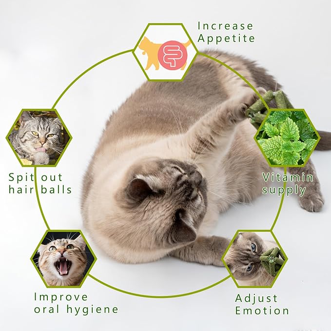 Cat Catnip Toys,2Pcs Catnip Ball for Cats,Toys for Indoor Cats,Cat Chew Exercise Toy for All Breeds and Species,Enhances Oral and Dental Health