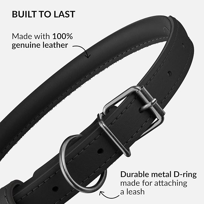 CollarDirect Rolled Leather Dog Collar, Soft Padded Round Puppy Collar, Handmade Genuine Leather Collar Dog Small Large Cat Collars 13 Colors (6 Inch, Black Smooth)