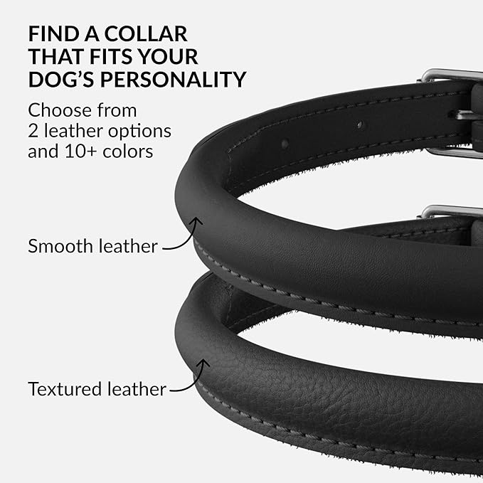 CollarDirect Rolled Leather Dog Collar, Soft Padded Round Puppy Collar, Handmade Genuine Leather Collar Dog Small Large Cat Collars 13 Colors (11-14 Inch, Black Smooth)