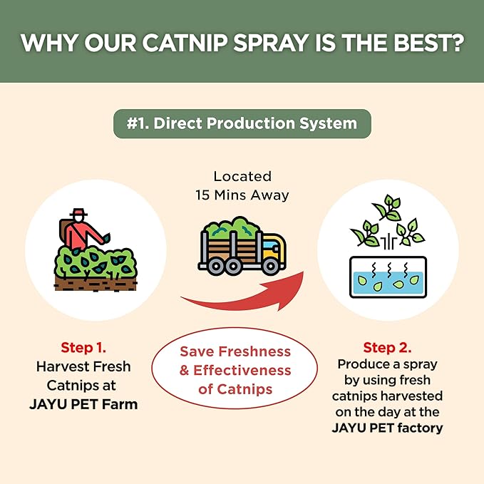 JAYU PET Active Catnip Spray - High Potency Transparent Liquid Spray made of Fresh Organic Catnip for Indoor Cats and Kittens, Relieves Stress, Calming, Revives Toys (1fl oz) (Catnip Spray, 1fl oz)