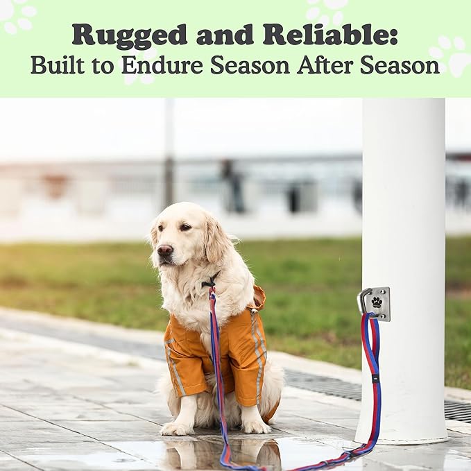 Canine Hitch- Secure Dog Leash Parking Mounted Indoor – Outdoor Wall Hook - Tie Out Stainless Steel Practical Lead Management for Home & Business, Ultimate Strength