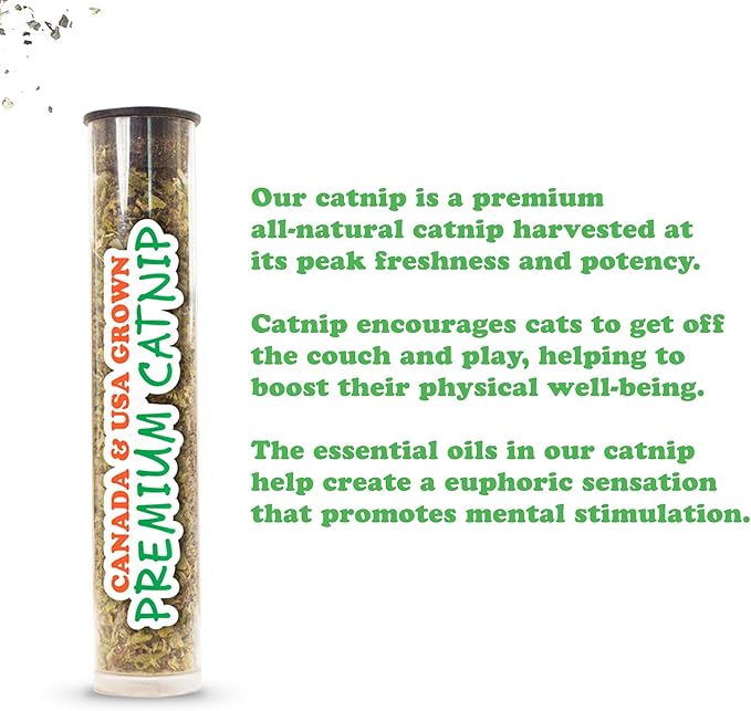 Meowijuana Honey Bee Bundle | Get Buzzed Honey Bee Wand Toy and Honeysuckle Haze Catnip Blend | Promotes Play and Cat Health | Includes North American Organic Catnip