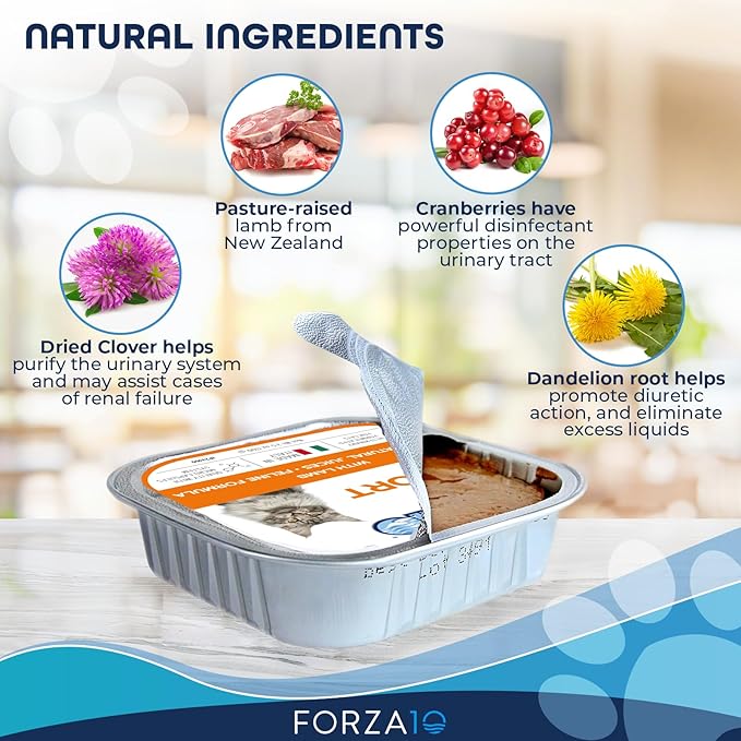 Forza10 Kidney Care Cat Food – Renal Support Wet Cat Food with Lamb, 3.5 oz Cans, 4 Pack – Vet Formulated, Made in Italy