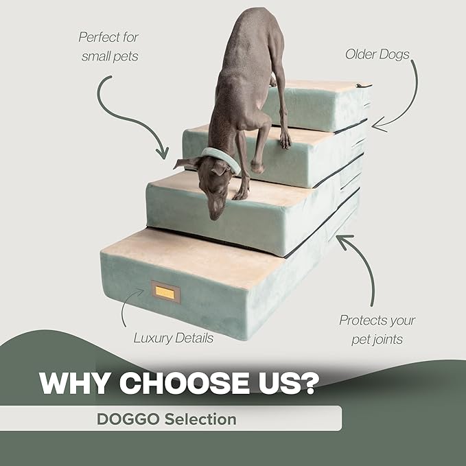 All-in-One Adjustable Dog Stairs – 5-Step Premium Pet Ramp for Small to Large Dogs – Sturdy, Non-Slip & Versatile for Beds, Sofas & More - Soft Cover, Modern Design (Green)