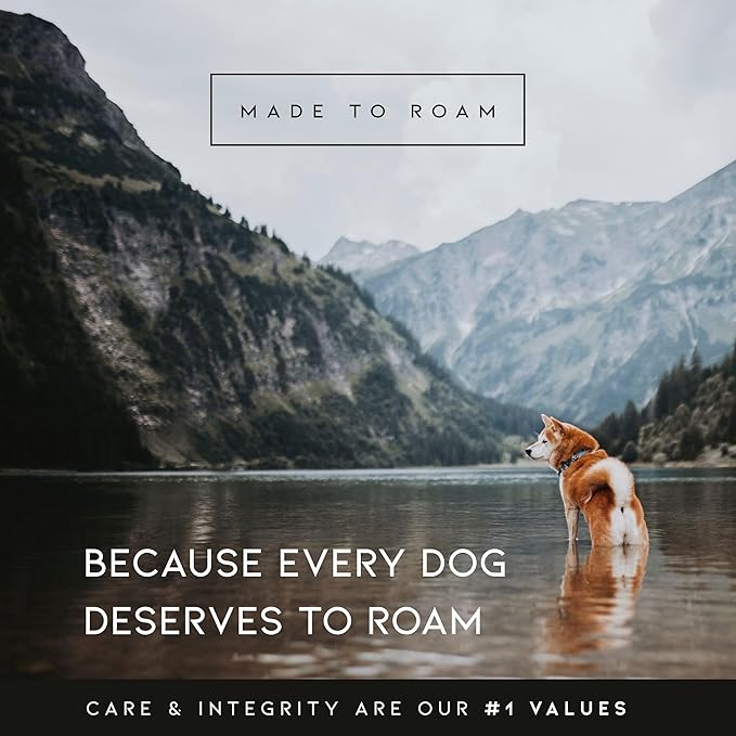MADE TO ROAM Premium Explorer Harness - Y-Shaped Dog Harness with Adjustable Durable Nylon, Soft Padding, Metal Buckles and Leather Handle for Small, Medium, Large Dogs (Texas Flair, Size 4)