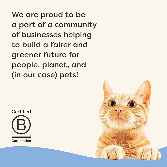 Applaws Vitality Wet Cat Food in Broth, Natural Canned Cat Food, Wet Food for Cats with Added Vitamins and Minerals, Grain Free, Carrageenan Free, Variety Selection in Broth (12 Count, 5.5 oz Cans)