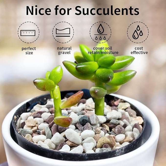 5 lbs Natural Mixed Color Gravel Pebbles, 3/8 Inch Decorative Succulent Rocks Pebbles for Plants, Stones for Vase, Landscaping and Outdoor Garden Decorative River Rock