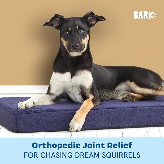 Barkbox Orthopedic Dog Bed with Memory Foam, Premium Comfort for Dogs and Puppies, Dog Bed for Joint Relief and Restful Sleep, Durable and Easy to Clean - Navy, Medium