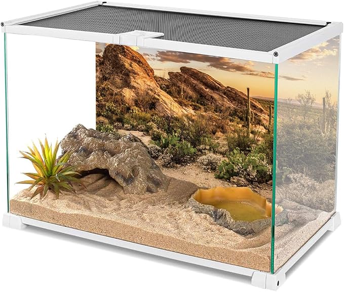 AWERT Reptile Habitat Background Blue Sky Oasis Cactus Sun and Desert Terrarium Background 72x18 inches Durable Polyester Background