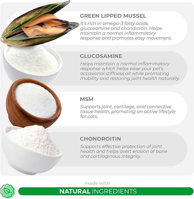 Glucosamine for Cats - 4.23oz/120g Powder - Hip and Joint Supplement for Cats with Green Lipped Mussel, MSM, Chondroitin, and Vitamin E