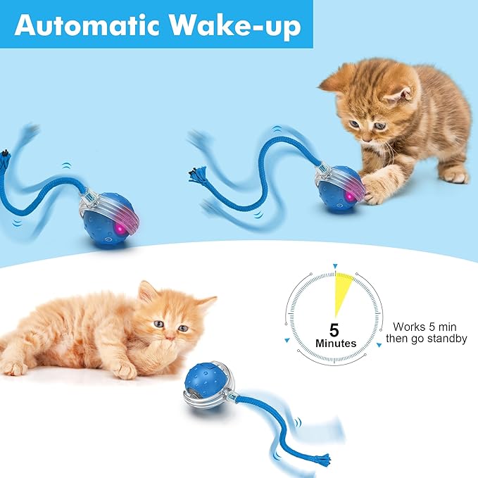Cat Toys Ball for Indoor Cats - Interactive Automatic Cat Ball Toy | Fast Rolling & Motion Activated Chirping | Hide and Seek Mouse Catching Game | Stimulates Hunting Instinct (Blue)
