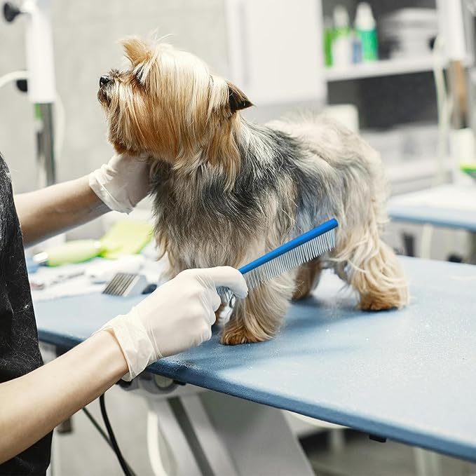 2 Pack Dog Combs with Stainless Steel Teeth Applicable to Cat Dog Comb Removing Tangles Easily Remove Dirt Grooming Anti-Slip Comfort Grip Handle （blue）