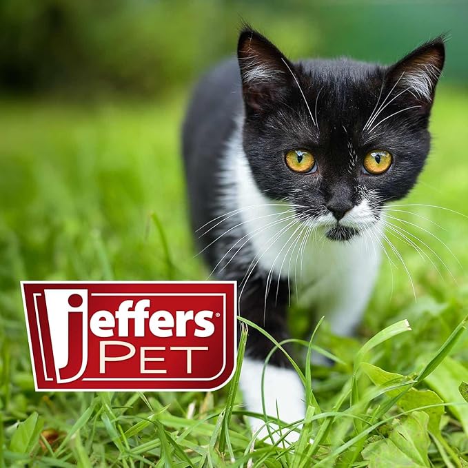 Jeffers Pet Ear Flush for Dogs & Cats – Gentle Otic Wash with Aloe & Calendula – Supports Routine Grooming & Ear Cleansing – Easy to Use Ear Wash Solution – 8 oz Bottle