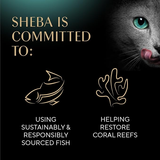 Sheba Perfect Portions Wet Cat Food Cuts in Gravy Variety Pack, Roasted Chicken Entree and with Sustainable Tuna, 2.6 oz. Twin-Pack Trays (12 Count, 24 Servings)