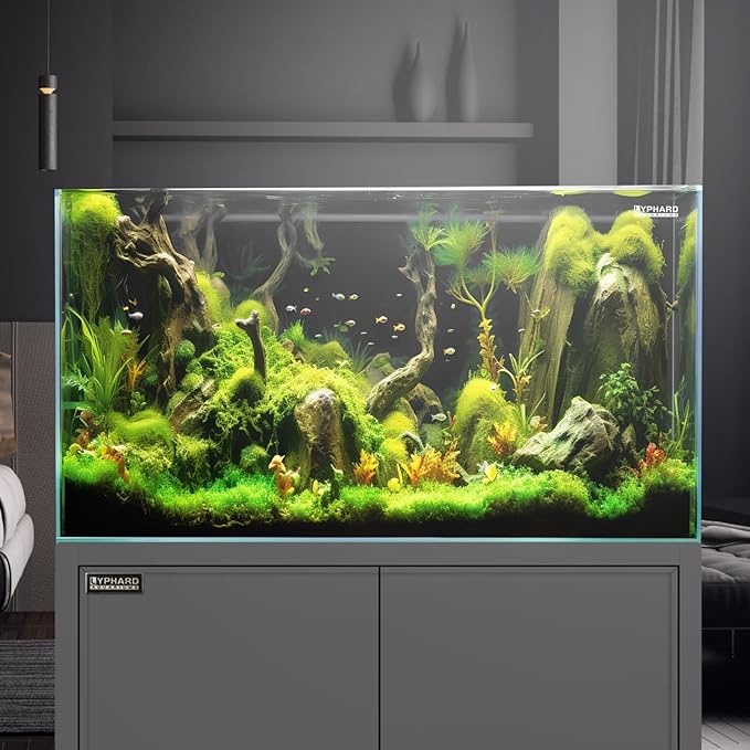 39 Gallon Tall Rimless Aquarium, Ultra Clear Low Iron Large Fish Tank, L19.7×W19.7×H23.6 Glass Thickness 10mm with EVA Foam Leveling Mat