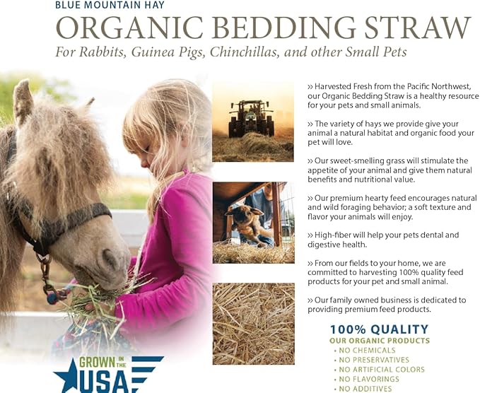 Blue Mountain Hay | Organic Bedding Straw (10 lb) | Natural Pet Bedding & Insulation for Rabbits, Guinea Pigs, Goats, Chickens, Stray & Feral Cats, and Small Animal Shelters